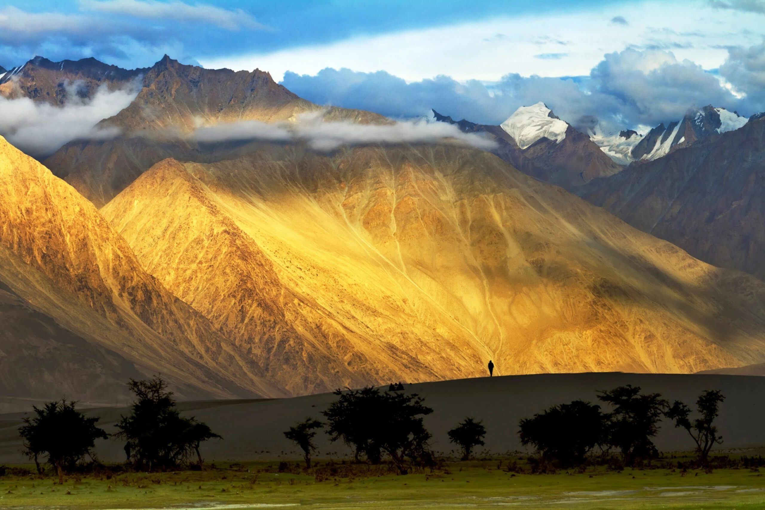 Leh Ladakh Tour: Unveiling Natural Wonders Arranged By Royal Rover Holiday