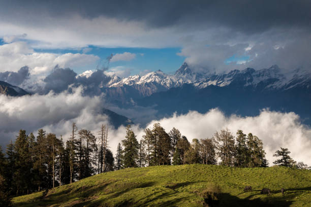 From Hills to Valleys: The Top 44 Places to Visit in Uttarakhand