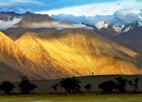 Leh Ladakh Tour: Unveiling Natural Wonders Arranged By Royal Rover Holiday