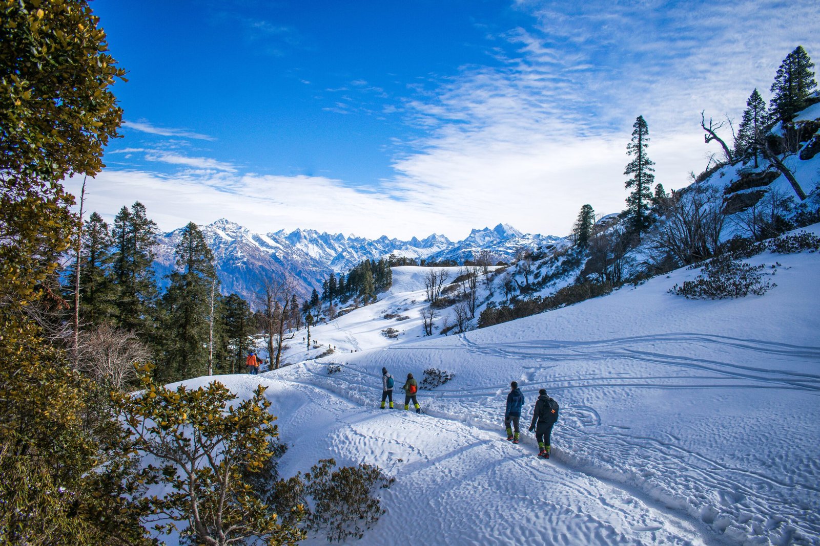 Himachal Tour Packages