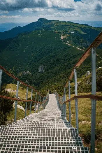 vertical-shot-boardwalk-surrounded-by-greenery-ceahlau-national-park-romania