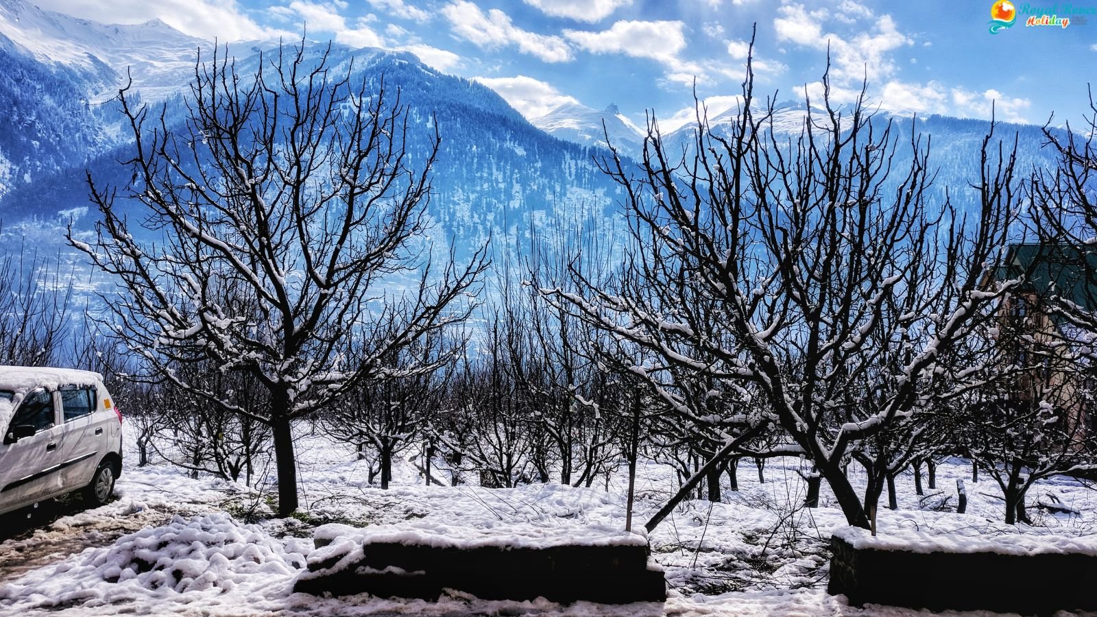 Apple-Orchard Surroundings