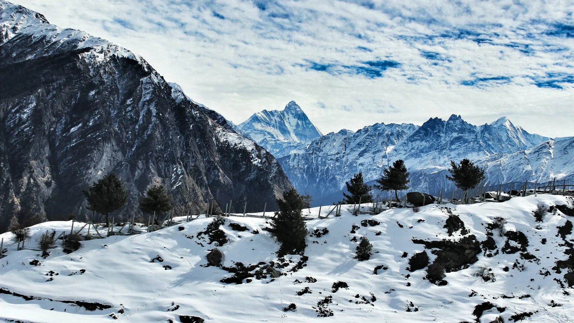 Auli Honeymoon Tour Package