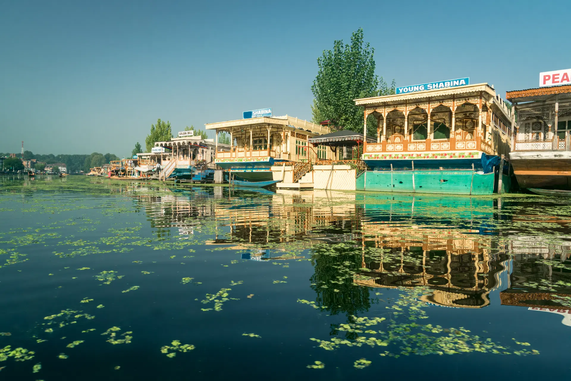 Best Kashmir Tour Packages 05 Nights 06 Days