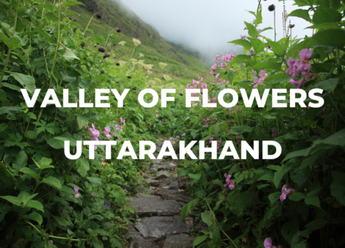 Valley of Flowers: A Dream Destination for Nature Lovers (Uttarakhand)