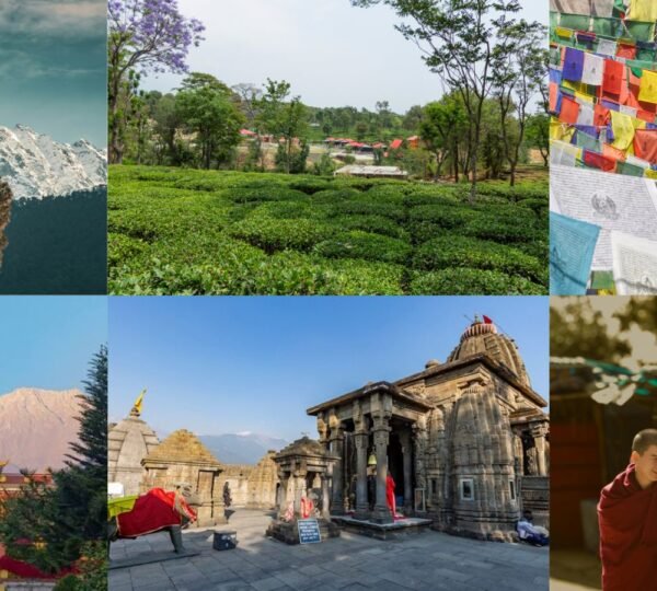Gyuto Monastery, Palampur Tea Gardens and Baijnath Temple sightseeing near Dharamshala
