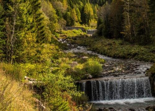 9 Weekend Trips from Chandigarh Under 6 Hours, Ranked by Actual Drive Time