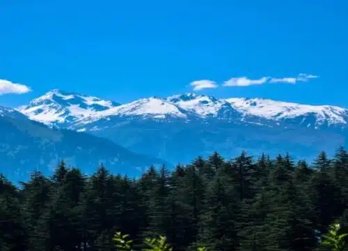 Best Tourist Spots in Shimla and Manali You Can’t Miss in 2025