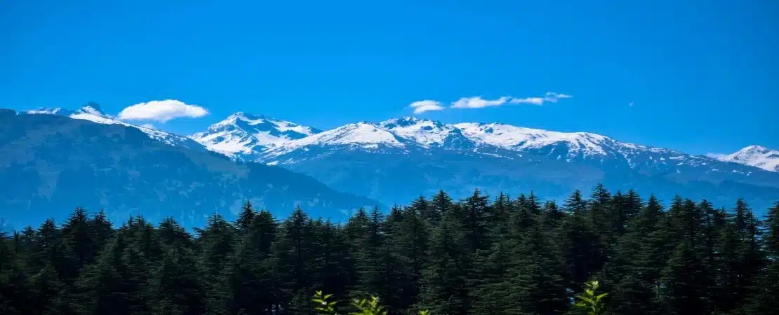 Best Tourist Spots in Shimla and Manali You Can’t Miss in 2025