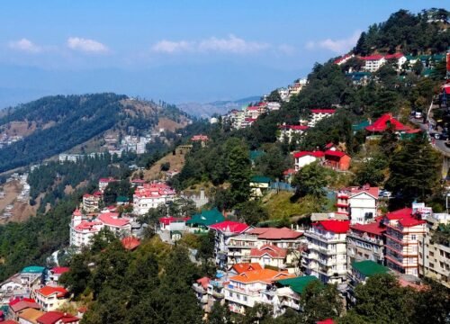 Explore the Hills on a Budget: Best Low-Cost Shimla Tour Packages for 2025