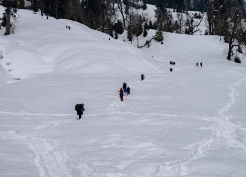 Things to Do in Manali – Complete Guide to Sightseeing, Adventure & Nightlife
