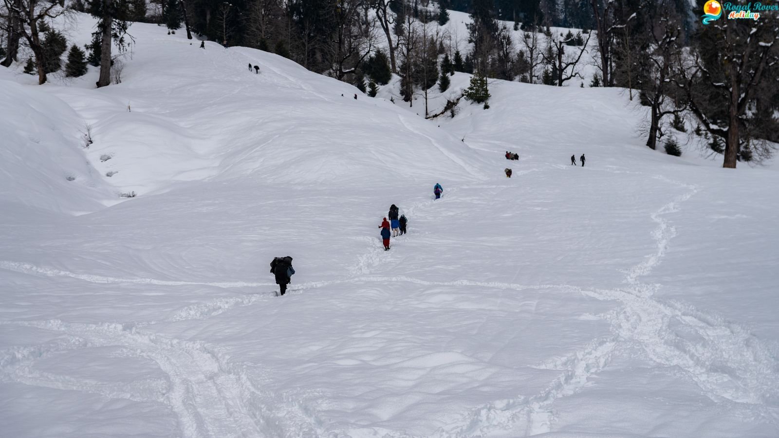 Things to Do in Manali – Complete Guide to Sightseeing, Adventure & Nightlife