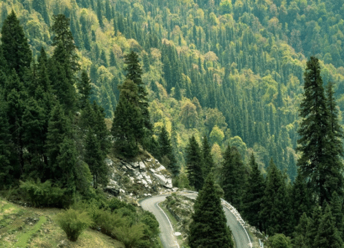 What Are the Most Affordable Uttarakhand Tour Packages for a 5–7 Day Trip?