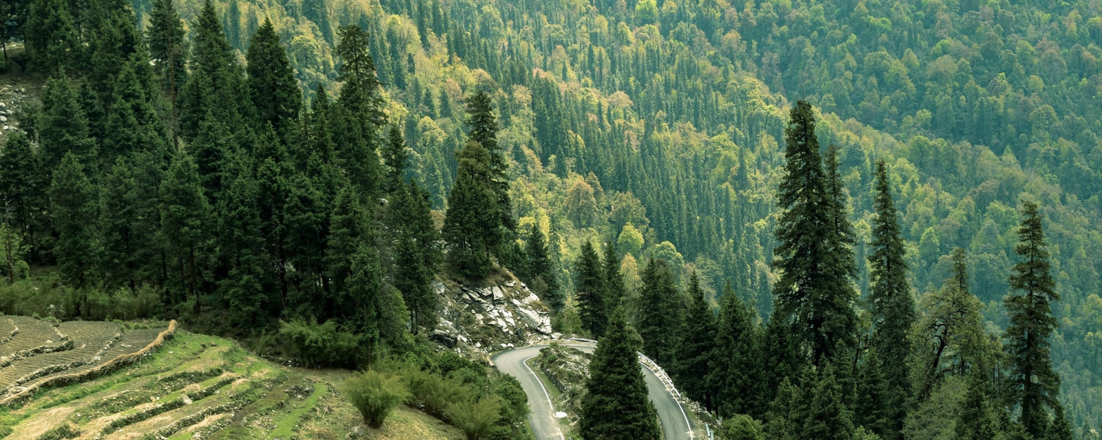 What Are the Most Affordable Uttarakhand Tour Packages for a 5–7 Day Trip?