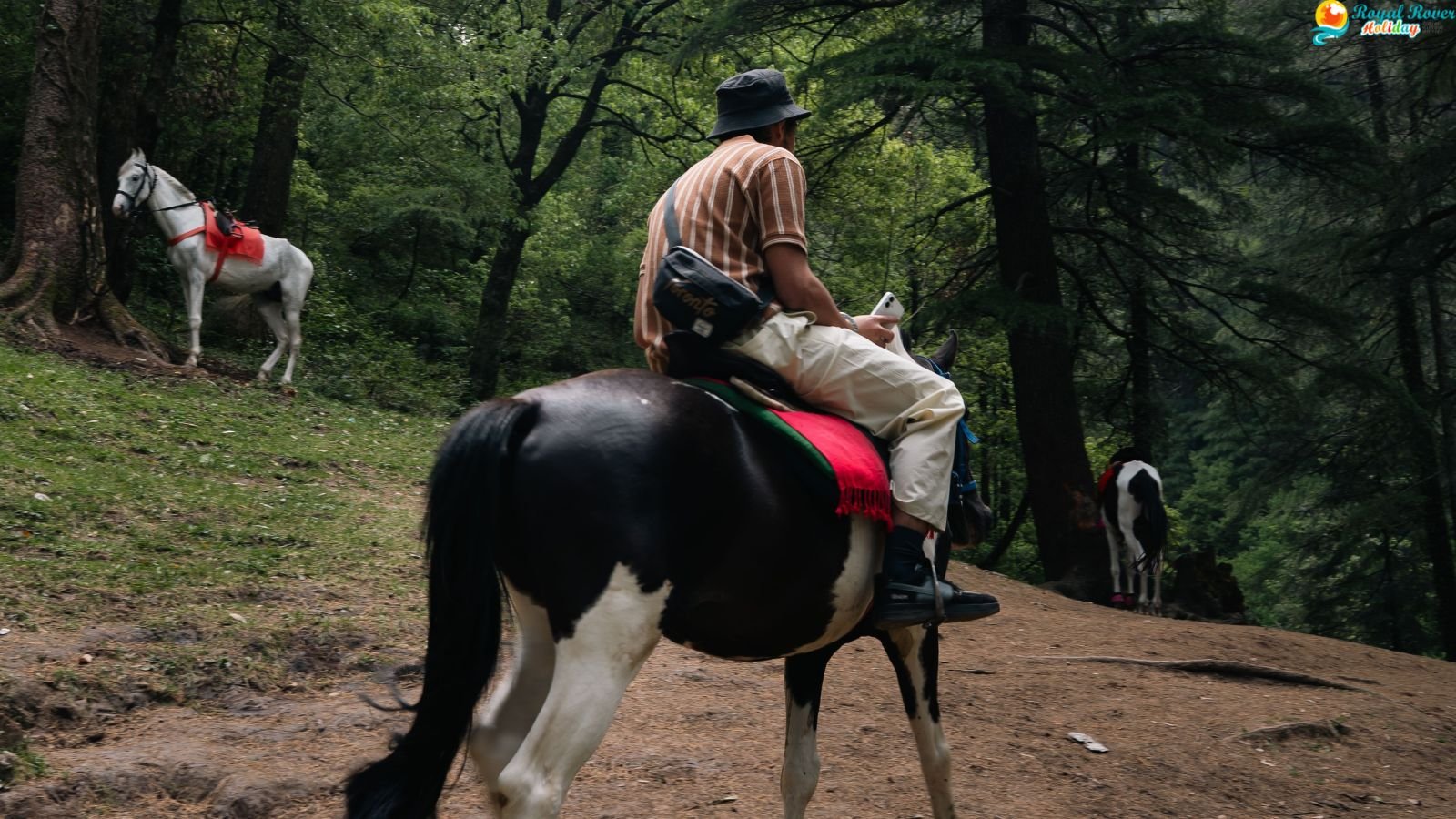 Dalhousie
