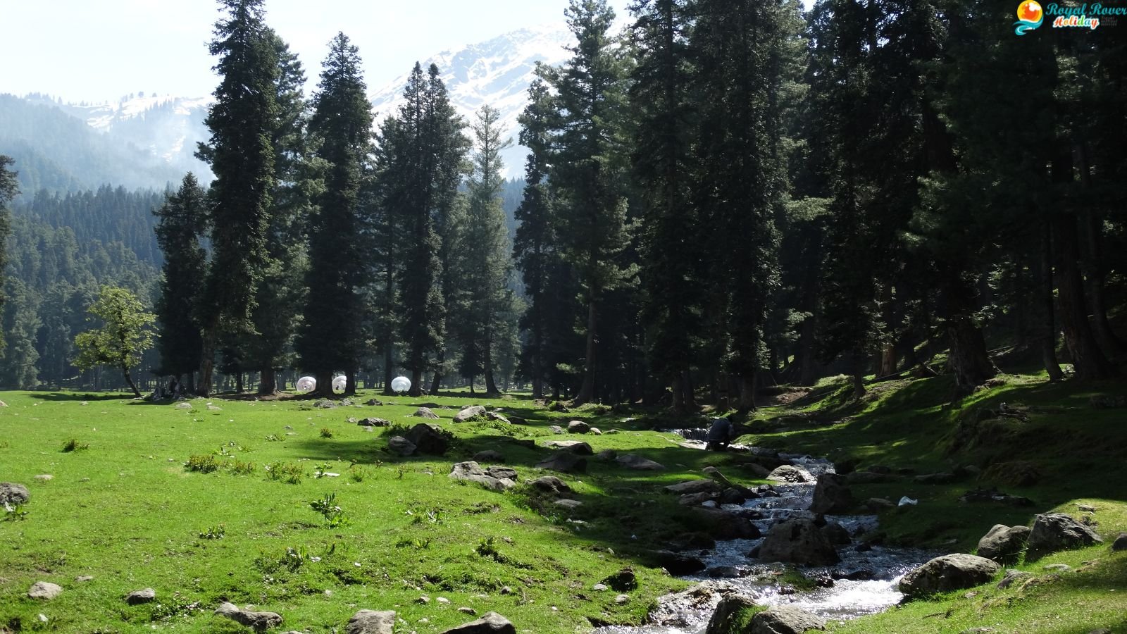 Dharamshala, Kashmir & Amritsar Tour Package from Delhi (8 Nights & 9 Days)