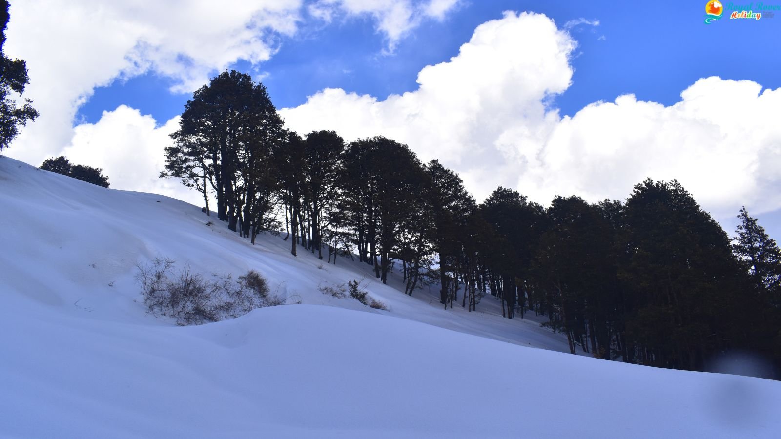 Jalori Pass