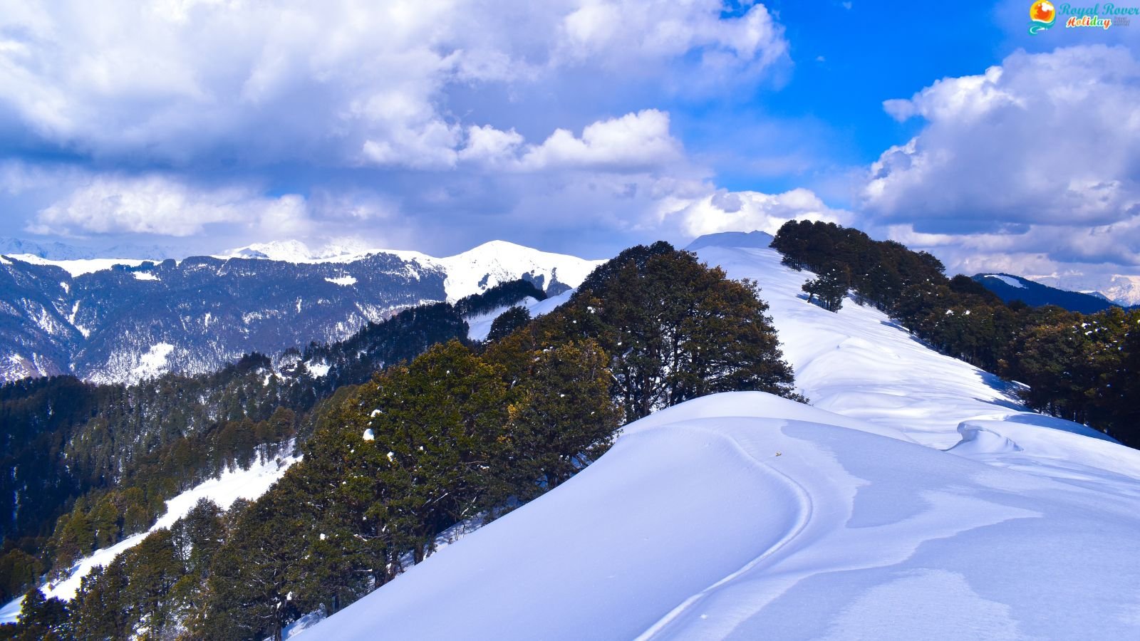 Shangarh Jibhi Tirthan Valley Tour Package from Chandigarh (6 Nights & 7 Days) slide 2