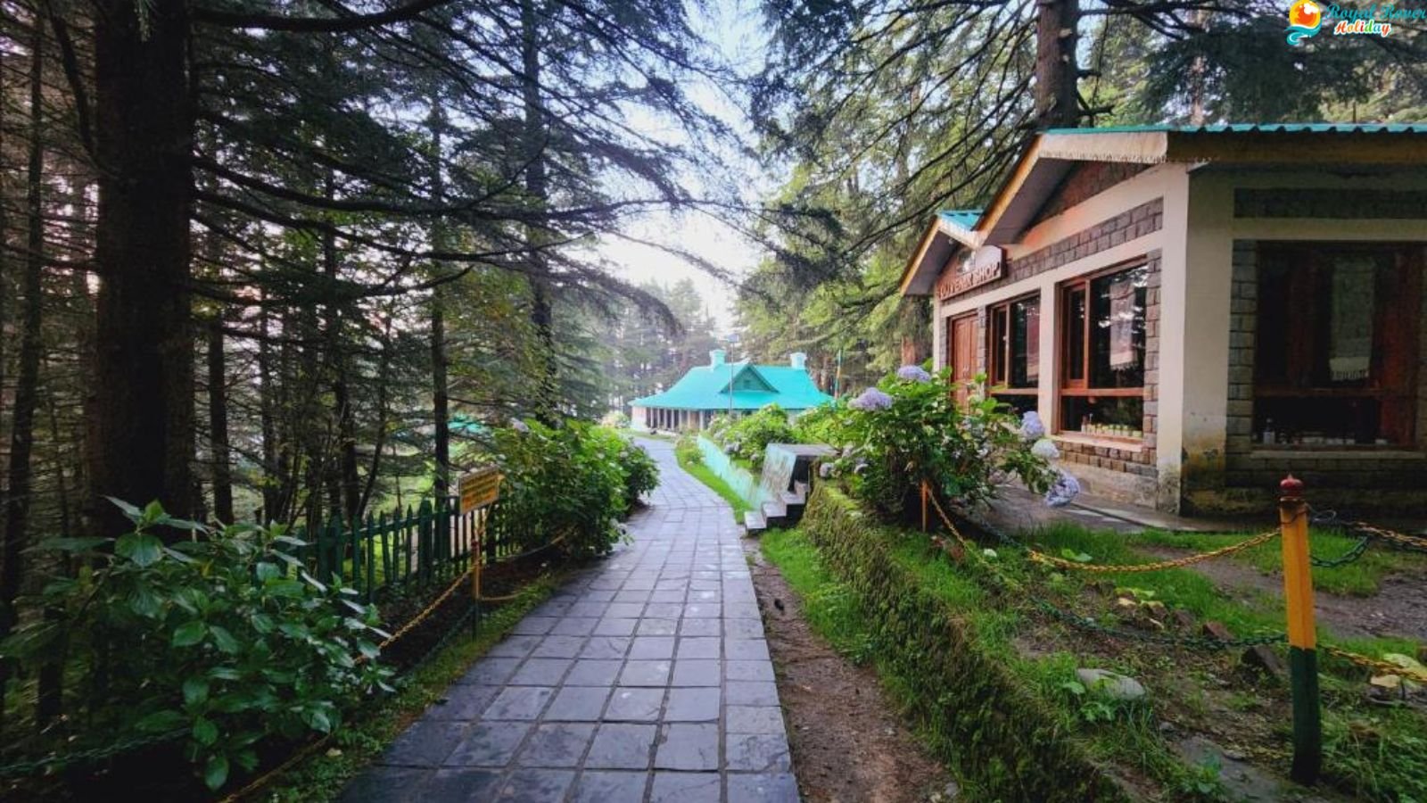 Dharamshala Dalhousie Tour Package from Delhi (03 Nights 04 Days) slide 5