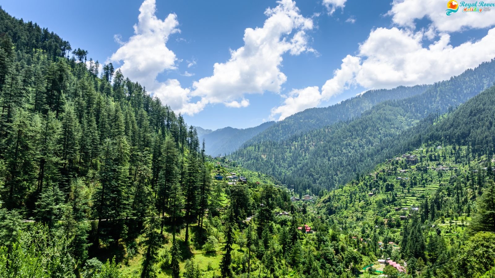 Offbeat Tour Packages Shangarh, Jibhi, and Tirthan Valley from Chandigarh