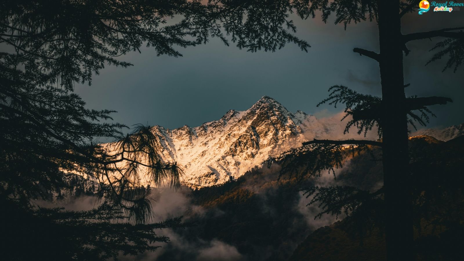 Dharamshala, Katra, Srinagar, Sonmarg, Pahalgam & Amritsar Tour Package from Delhi (07 Nights 08 Days)